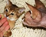     
: IMG_0588.jpg
: 72
:	84.9 
ID:	373426