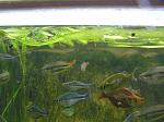     
: PB300141.jpg
: 57
:	150.1 
ID:	3737051