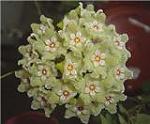     
: 23fc1d6ca6bcx.jpg
: 17
:	5.7 
ID:	373965