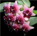     
: 2aa0ccefe8fcx.jpg
: 12
:	6.5 
ID:	373968