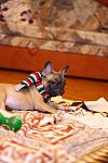     
: IMG_4919.jpg
: 23
:	68.2 
ID:	3739786