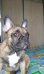     
: 2012-02-07 13.54.08.jpg
: 23
:	58.5 
ID:	3739844