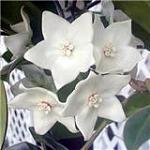     
: 58e6a7adb309x.jpg
: 12
:	6.5 
ID:	373995