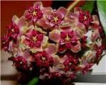     
: d44703b26485x.jpg
: 11
:	6.9 
ID:	373996