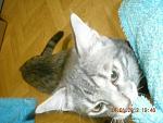     
: x_746557d7.jpg
: 15
:	51.6 
ID:	3740899