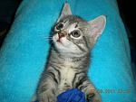     
: x_33c3c8d0.jpg
: 20
:	61.5 
ID:	3740901