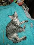     
: x_f583a90f.jpg
: 20
:	78.5 
ID:	3740906