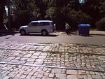     
: DSC_00058.jpg
: 127
:	98.8 
ID:	3741291