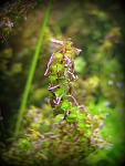     
: IMG_0140.jpg
: 43
:	111.7 
ID:	3744882