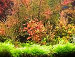     
: IMG_0149.jpg
: 40
:	309.9 
ID:	3744888