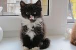     
: IMG_3832.jpg
: 118
:	77.8 
ID:	3745323