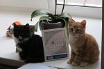     
: IMG_3824.jpg
: 112
:	79.3 
ID:	3745332