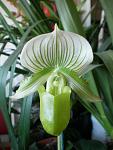     
: 08.02.12 010.JPG
: 32
:	176.9 
ID:	3746033