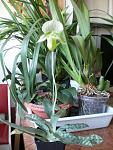     
: 08.02.12 009.JPG
: 38
:	164.6 
ID:	3746034