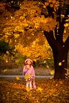     
: клац-1513.jpg
: 34
:	120.5 
ID:	3750501