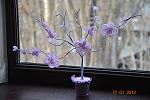     
: DSC_0006.jpg
: 18
:	108.5 
ID:	3752108