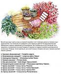     
: Весенний цветн&#10.jpg
: 275
:	191.0 
ID:	3752281