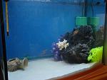     
: P2090961.jpg
: 70
:	105.7 
ID:	3753292