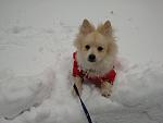     
: 2012-01-23 13.27.42.jpg
: 28
:	76.2 
ID:	3753682