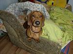     
: y_e94d5fbc.jpg
: 31
:	106.1 
ID:	3754126