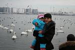     
: img 003.jpg
: 73
:	85.7 
ID:	3754402