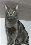     
: 082f049ce066e2af8852cfa0fb94106d.jpeg
: 58
:	100.9 
ID:	3755052