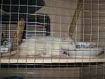     
: IMG_6526.jpg
: 65
:	148.2 
ID:	3759185
