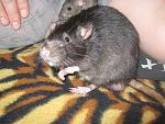     
: IMG_6545.JPG
: 24
:	213.2 
ID:	3759299