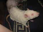    
: IMG_6558.JPG
: 19
:	143.2 
ID:	3759307