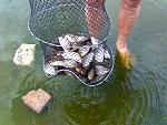     
: IMG014.jpg
: 136
:	121.6 
ID:	376471