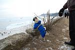     
: DSC_0134.jpg
: 32
:	162.7 
ID:	3766297