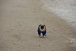     
: DSC_0165.jpg
: 36
:	108.3 
ID:	3766298