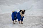     
: DSC_0159.jpg
: 30
:	72.8 
ID:	3766299