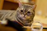     
: x_0360a96e.jpg
: 116
:	50.8 
ID:	3767770