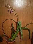     
: P2120264.JPG
: 31
:	160.6 
ID:	3768928