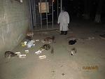     
: IMG_0409.jpg
: 96
:	106.1 
ID:	3775021
