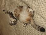     
: IMG_0097.jpg
: 32
:	126.3 
ID:	3776384