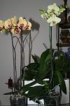     
: IMG_3139.jpg
: 22
:	68.0 
ID:	3776449