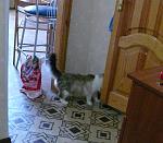     
: ухожу.jpg
: 29
:	152.4 
ID:	3776806