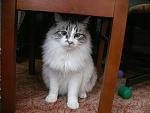     
: не приставай.jpg
: 31
:	122.6 
ID:	3776868