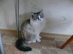     
: ангелочек спря&#10.jpg
: 28
:	110.8 
ID:	3776869