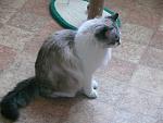     
: профиль короле&#10.jpg
: 24
:	120.7 
ID:	3776870