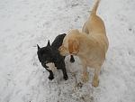     
: DSCN1760.jpg
: 33
:	94.5 
ID:	3778228