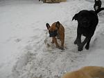     
: DSCN1755.jpg
: 27
:	78.2 
ID:	3778233
