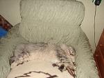     
: DSC02914.jpg
: 42
:	126.1 
ID:	3781207