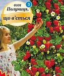     
: клубничка.jpg
: 8
:	50.1 
ID:	3781379