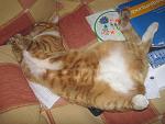     
: IMG_1653.jpg
: 29
:	146.2 
ID:	3782686