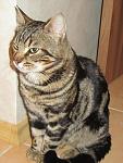     
: IMG_2760.jpg
: 128
:	96.9 
ID:	3783467