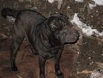     
: IMG_2415.jpg
: 109
:	108.1 
ID:	3784719