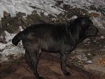     
: IMG_2416.jpg
: 83
:	100.8 
ID:	3784722